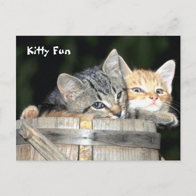 Kitty Fun Postkarte (Vorderseite)