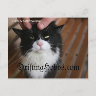 Kitty Hobo Postkarte