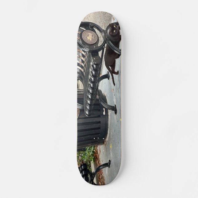 Kitty im Park Skateboard (Vorderseite)