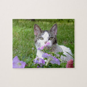 Kitty im Petunias-Puzzle