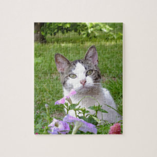 Kitty im Petunias-Puzzle