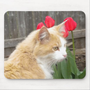 Kitty im Tulips Mouse-Pad Mousepad