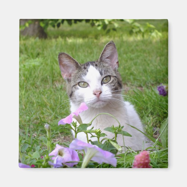 Kitty in der Blume Magnet (Vorne)