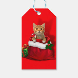Kitty in einer Weihnachtstasche Geschenkanhänger