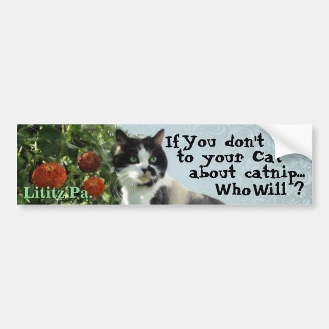 Kitty Inspirations Bumper Sticker Autoaufkleber (Vorne)