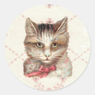 Kitty intense joli Sticker rond rose victorien