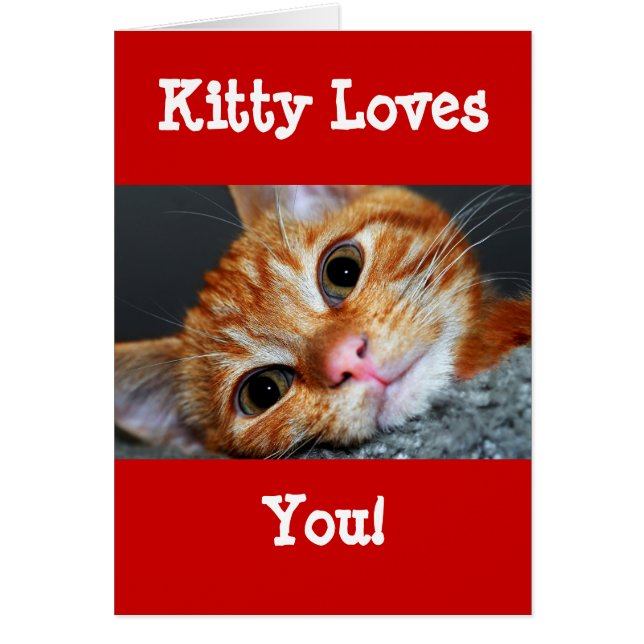 Kitty Kat (Vorne)