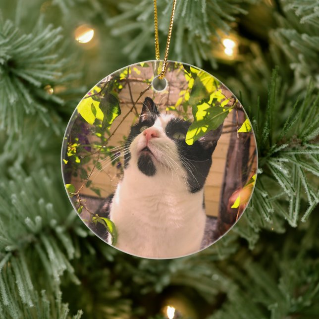 Kitty Keramik Ornament (Baum)