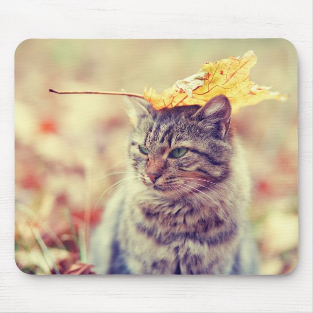 Kitty Leaf Balancing Act Mousepad (Vorne)