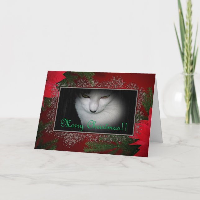 Kitty Liebt Weihnachtskarte! Feiertagskarte (Vorderseite)