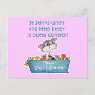 Kitty Litter Stinks Postkarte