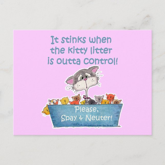 Kitty Litter Stinks Postkarte (Vorderseite)