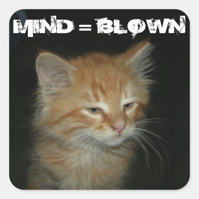 Kitty "MIND = BLOWN" Stickers - Set 20 (Vorderseite)