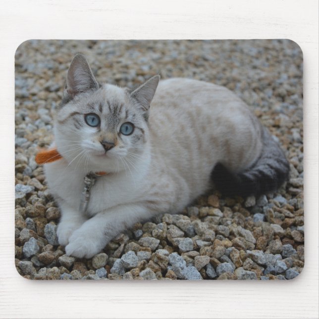 Kitty Mousepad (Vorne)