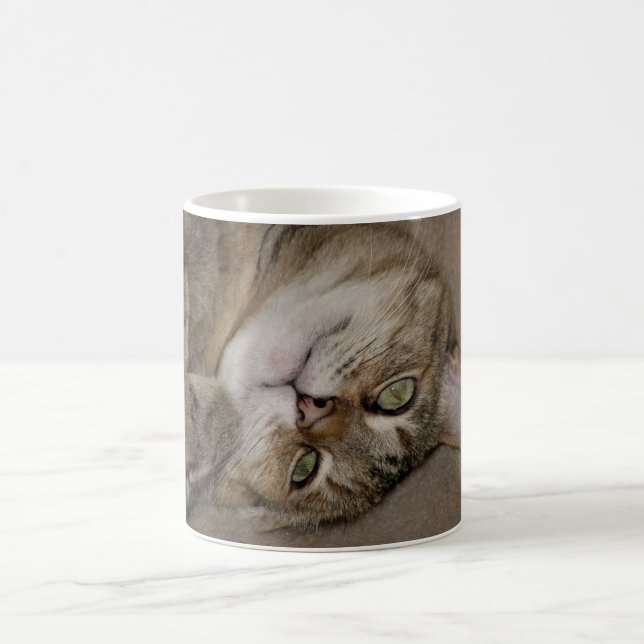 Kitty-niedliche Tasse (Mittel)