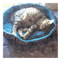Kitty nimmt ein Nickerchen, Aquarell Tabby Cat Sch
