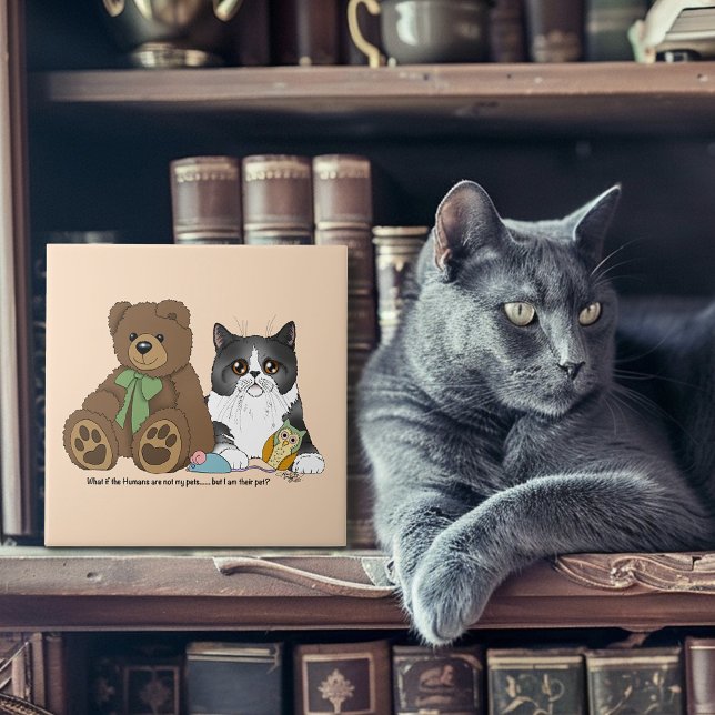 Kitty Not Pet Fliese (Von Creator hochgeladen)