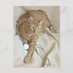 Kitty obtenir carte postale