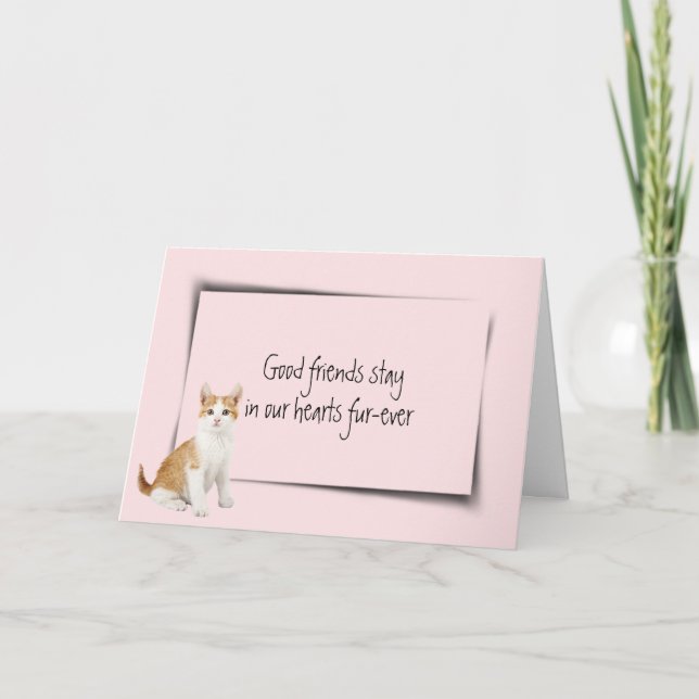 Kitty Pet Loss Beileid auf Pink Karte (Vorderseite)