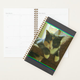Kitty Planner Planer