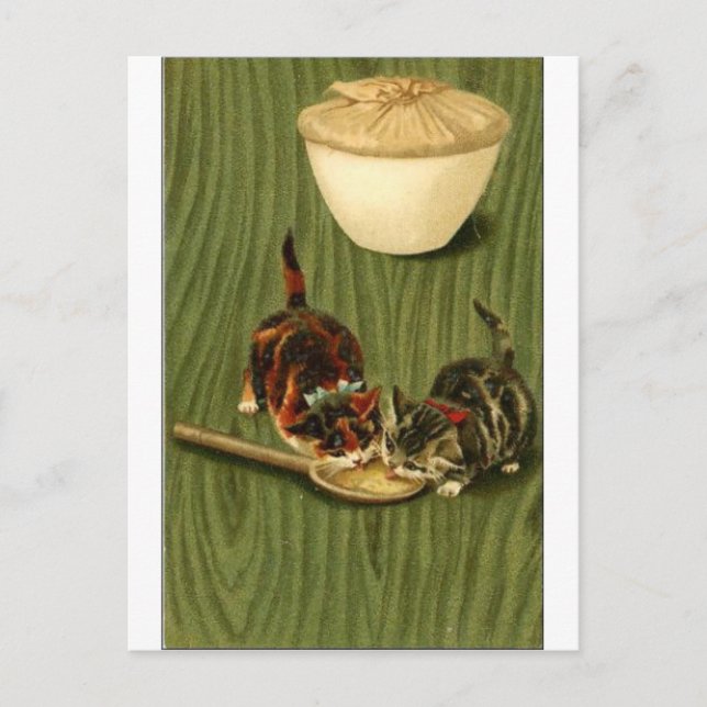 Kitty Postkarte (Vorderseite)