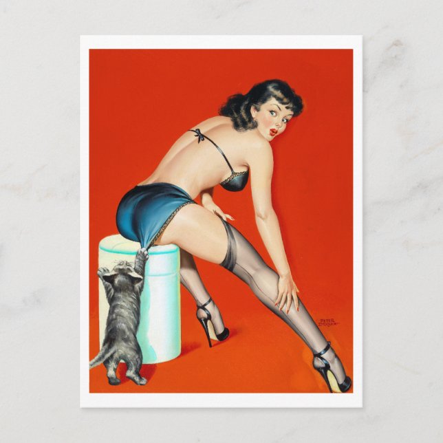 Kitty Puls Button hoch Postkarte (Vorderseite)