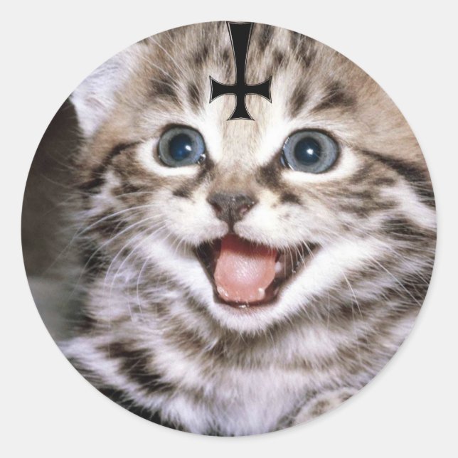 Kitty Runder Aufkleber (Vorderseite)
