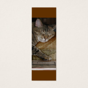 Kitty-Schlaf-Visitenkarte