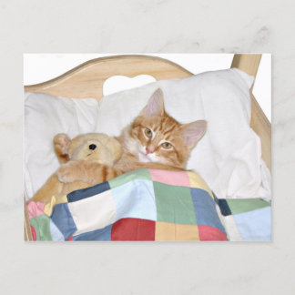 Kitty schlafen mit Teddy Postkarte