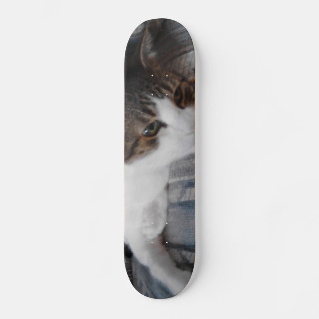 Kitty Skateboard (Vorderseite)
