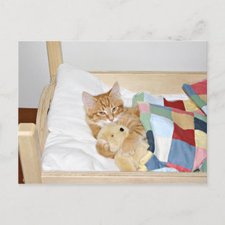 Kitty sleeps mit Teddy Postkarte