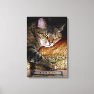 Kitty Sleepy Book Leinwanddruck