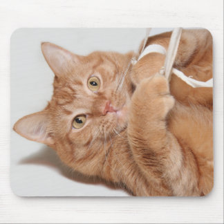 Kitty spielt mousepad