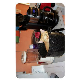 Kitty Stew Magnet