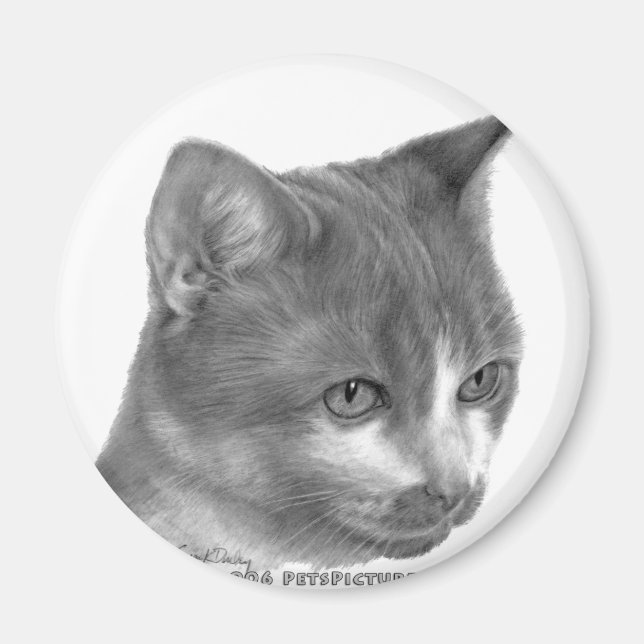 Kitty, Tabby Cat Magnet (Vorne)