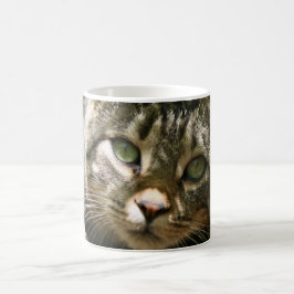 Kitty Tasse