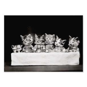 Kitty Tea Party Fotodruck