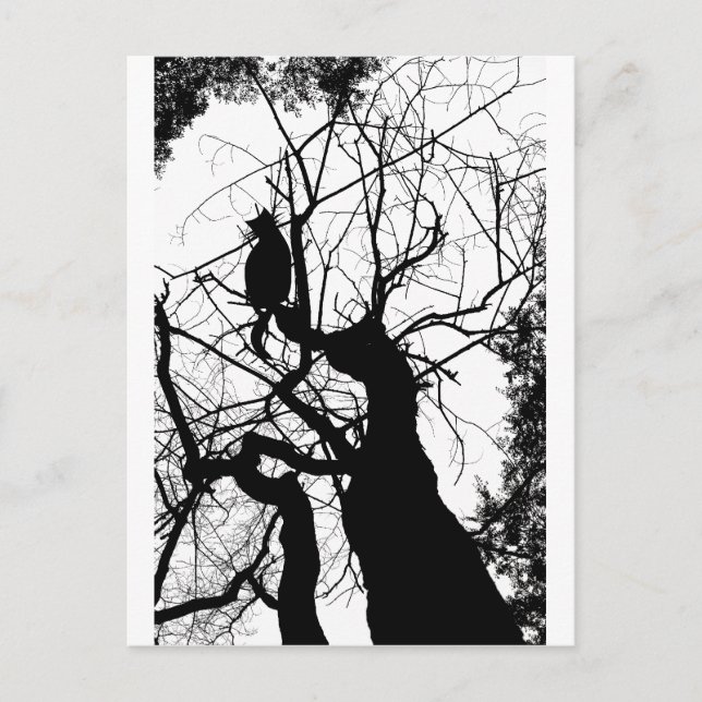 KITTY TREE SILHOUETTE B&W POSTKARTE (Vorderseite)