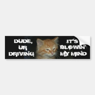 Kitty "TYP DRIVIN BLOWIN' MY MIND" Autoaufkleber