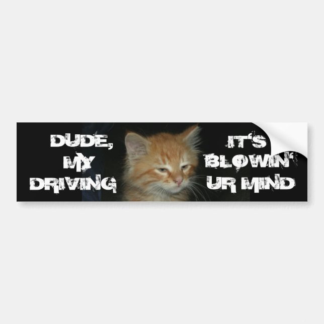 Kitty "TYP DRIVIN BLOWIN' UR MIND" Autoaufkleber (Vorne)