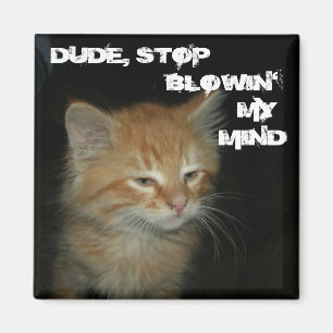 Kitty "TYP, STOP BLOWIN' MY MIND" Magnet