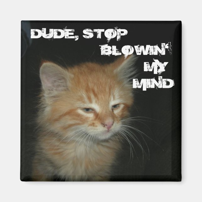 Kitty "TYP, STOP BLOWIN' MY MIND" Magnet (Vorne)