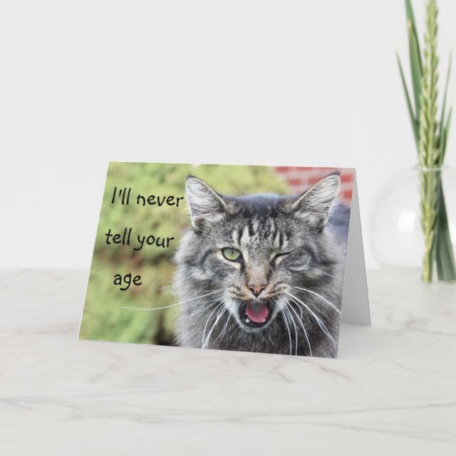 Kitty über dem Hügel Geburtstag Karte (Vorderseite)