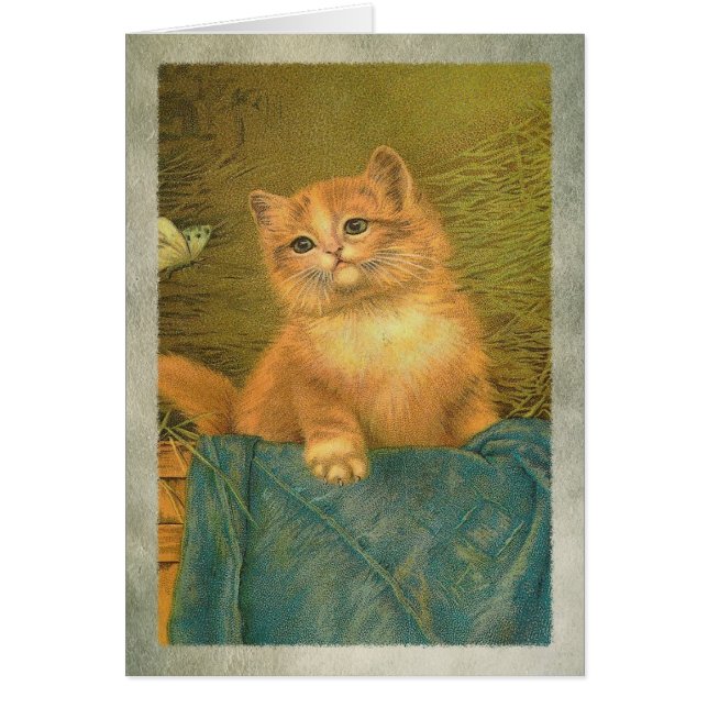 Kitty und Butterfly (Vorne)