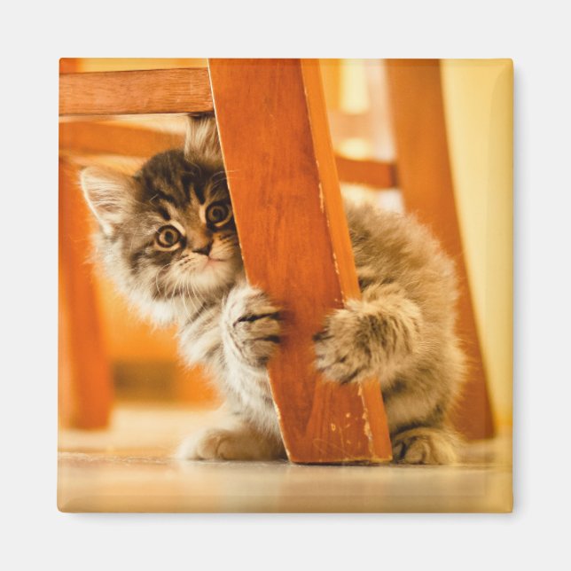 Kitty Under Fleisch Magnet (Vorne)