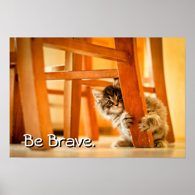 Kitty Under Fleisch Poster (Vorne)
