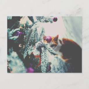 Kitty Under the Christmas Tree - Postcard Feiertagspostkarte