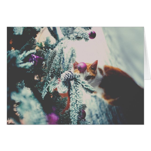 Kitty unter dem Weihnachtsbaum (Vorderseite (Horizontal))