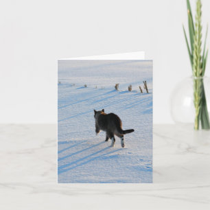 Kitty Walking in Snowy Corn Field Alle Anlässe Karte