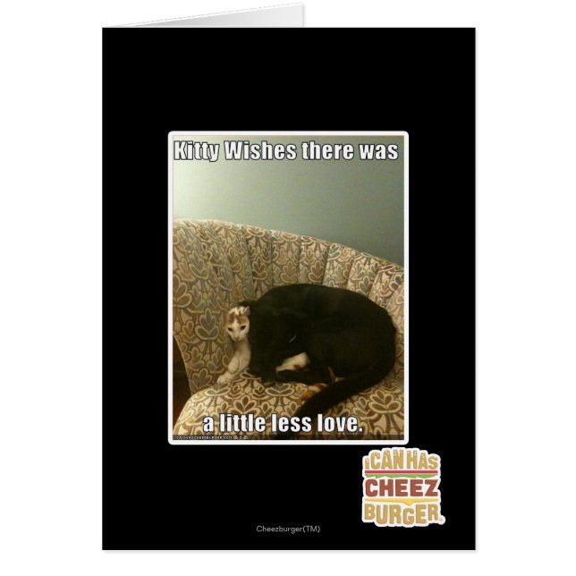 Kitty Wings (Devant)